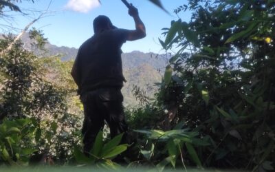 33 años, Pilón Lajas… Territorio de vida, cultura y resistencia.